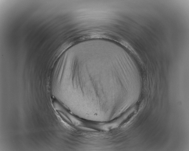 X0000066540801200604141904