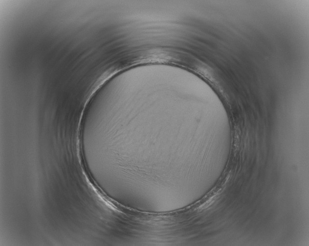 X0000066540802200604141904