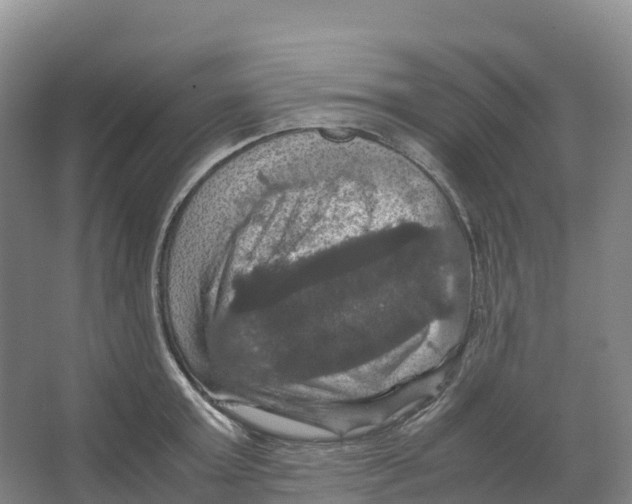 X0000066540803200604141904