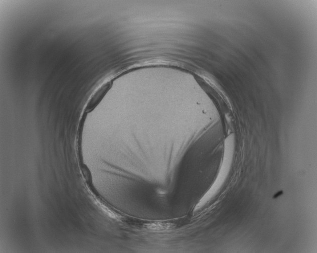 X0000066540805200604141904