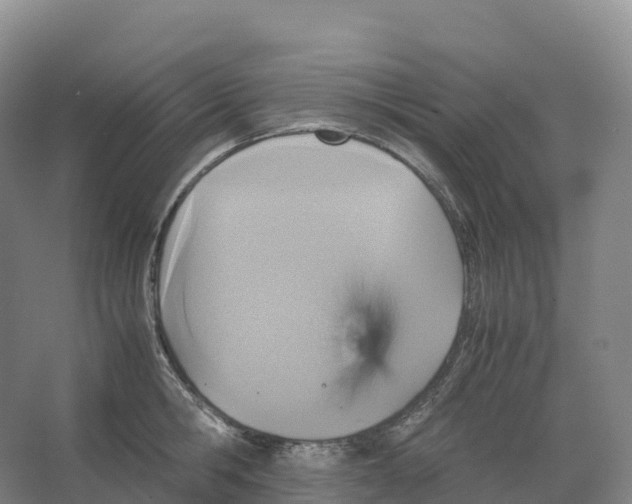 X0000066540806200604141904
