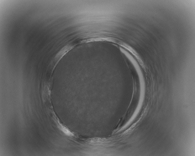 X0000066540809200604141904