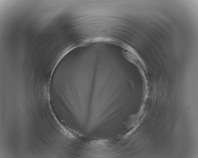 X0000066540810200604141904