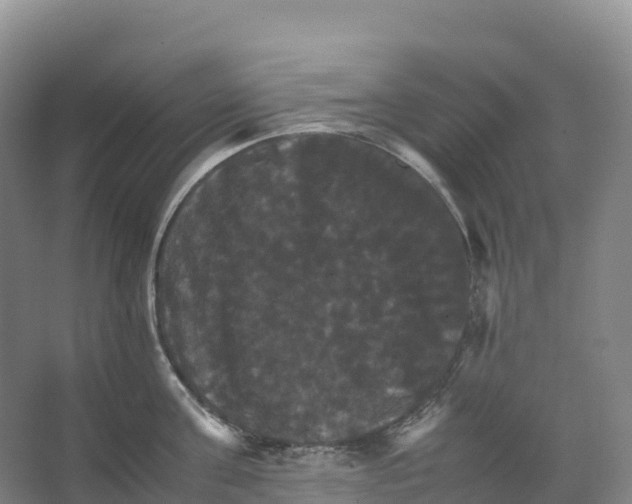 X0000066540811200604141904