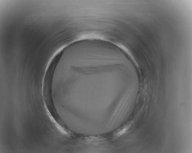 X0000066540815200604141904
