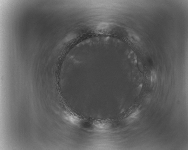 X0000066540817200604141903