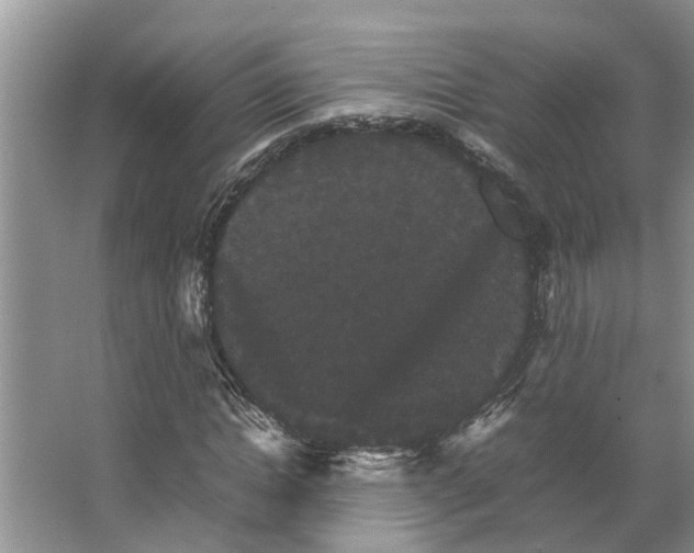 X0000066540822200604141903