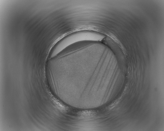 X0000066540834200604141903