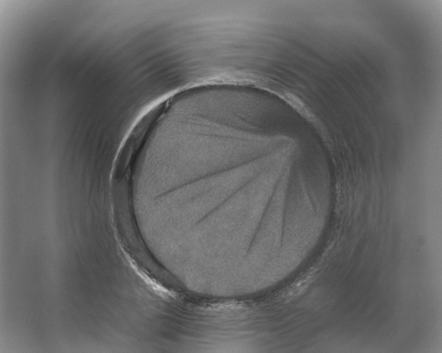 X0000066540838200604141903