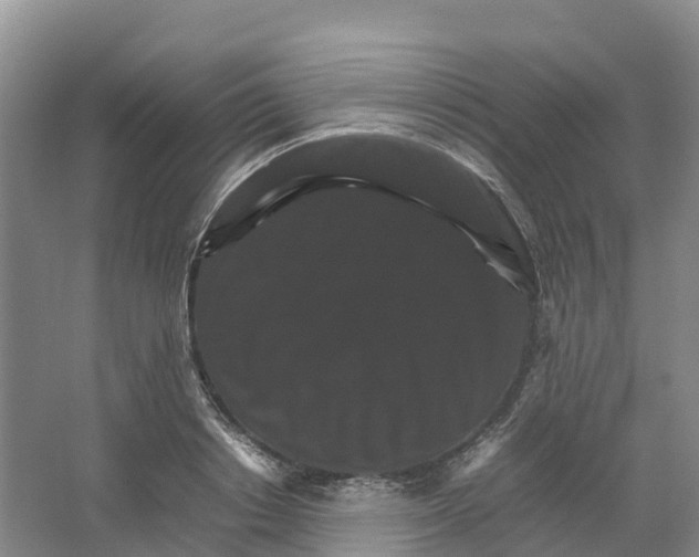 X0000066540842200604141903