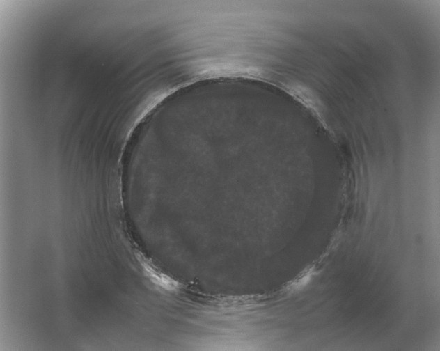 X0000066540877200604141903
