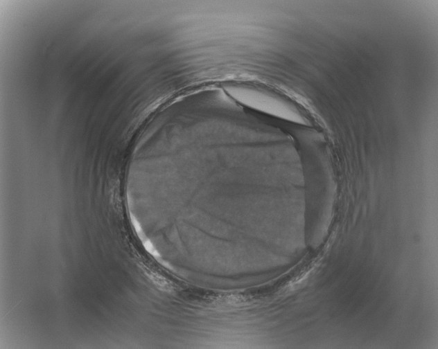 X0000066540881200604141903