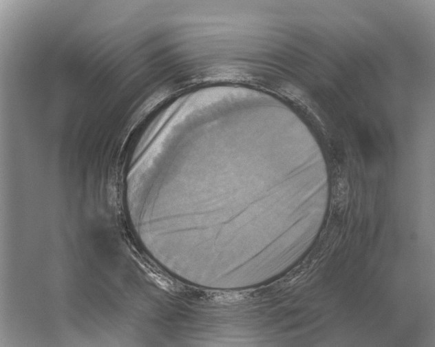 X0000066540882200604141903
