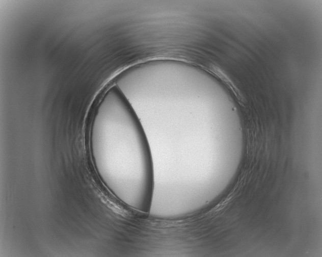 X0000066540884200604141902
