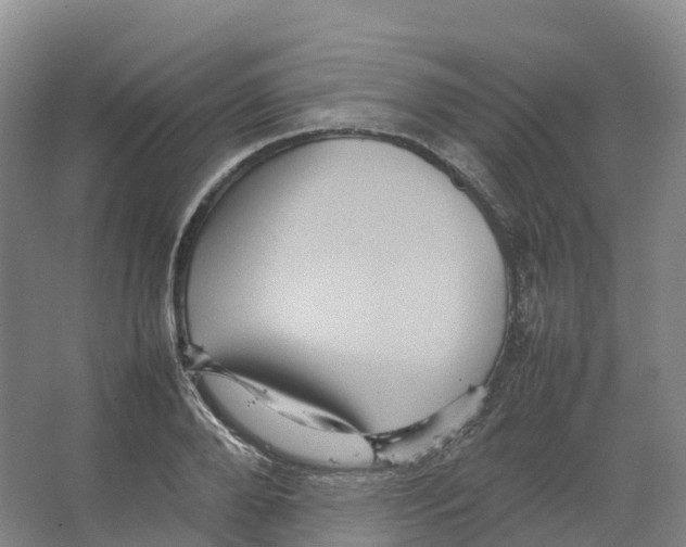 X0000066540888200604141902