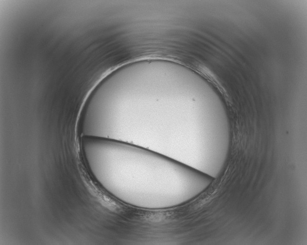 X0000066540892200604141902