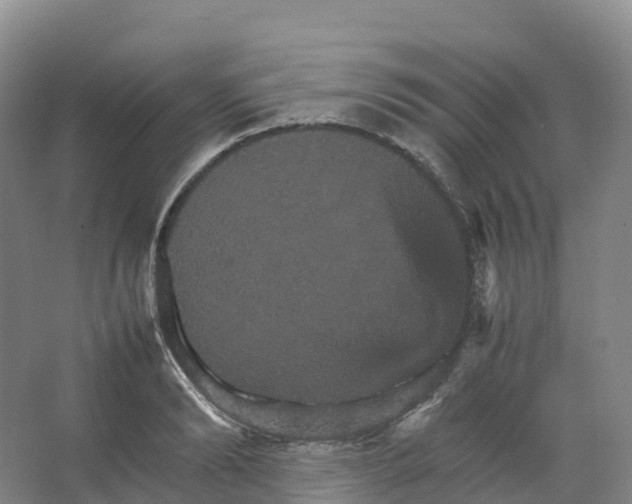X0000066540894200604141902
