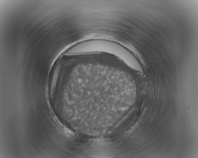 X0000066540896200604141902