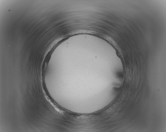 X0000066540898200604141902