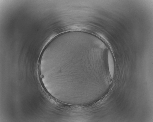 X0000066540899200604141902