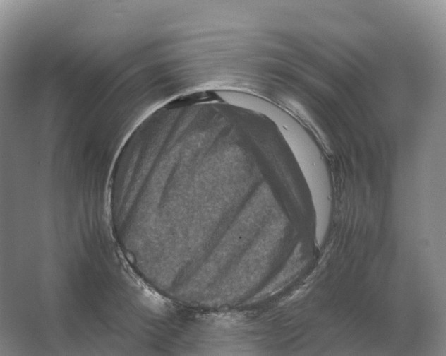 X0000066540900200604141902