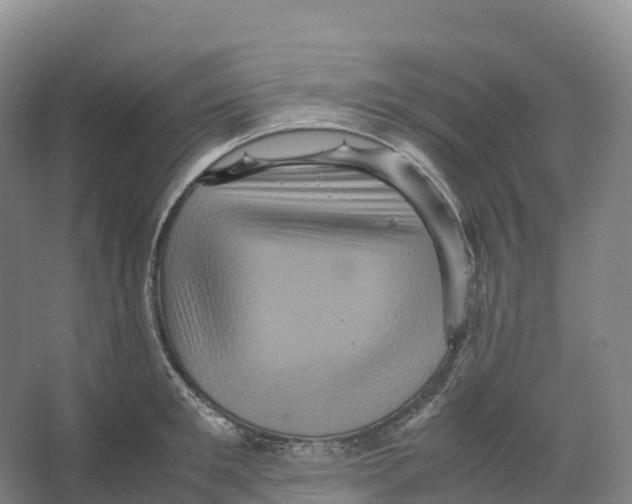X0000066540901200604141902