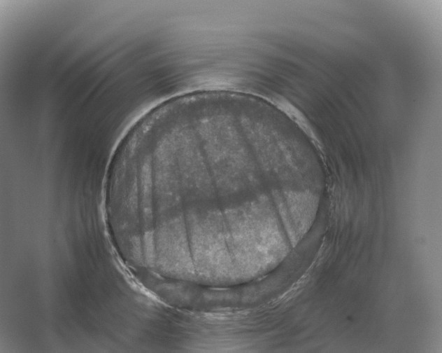 X0000066540904200604141902