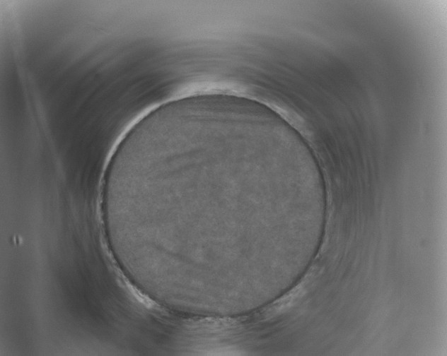 X0000066540912200604141902