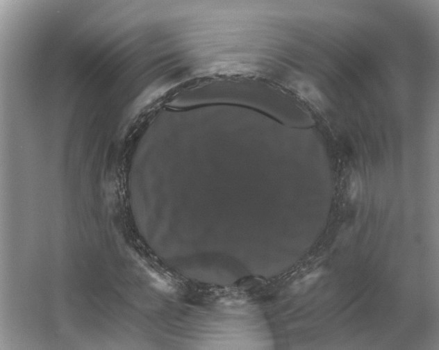 X0000066540920200604141901