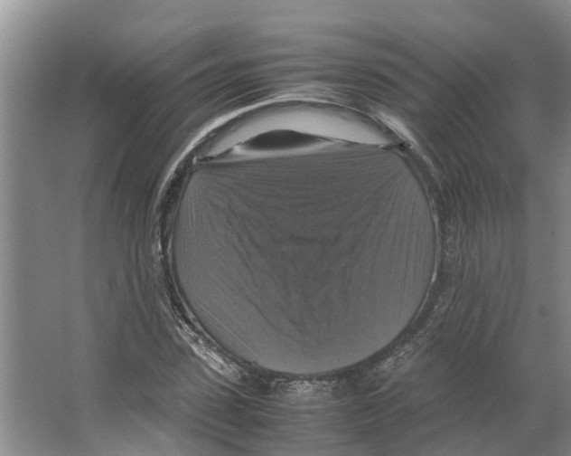 X0000066540923200604141901