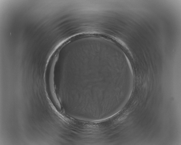 X0000066540935200604141902