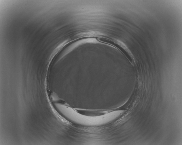 X0000066540946200604141902