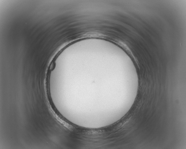 X0000066540947200604141902