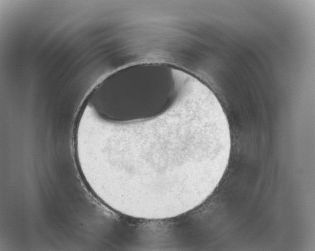 X0000066540950200604141902