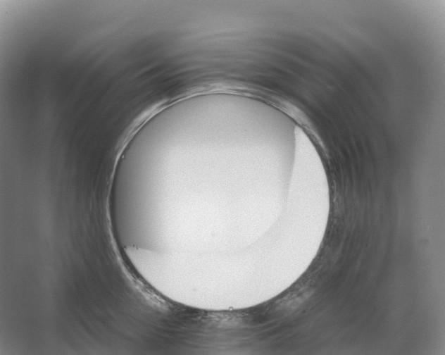 X0000066540954200604141902
