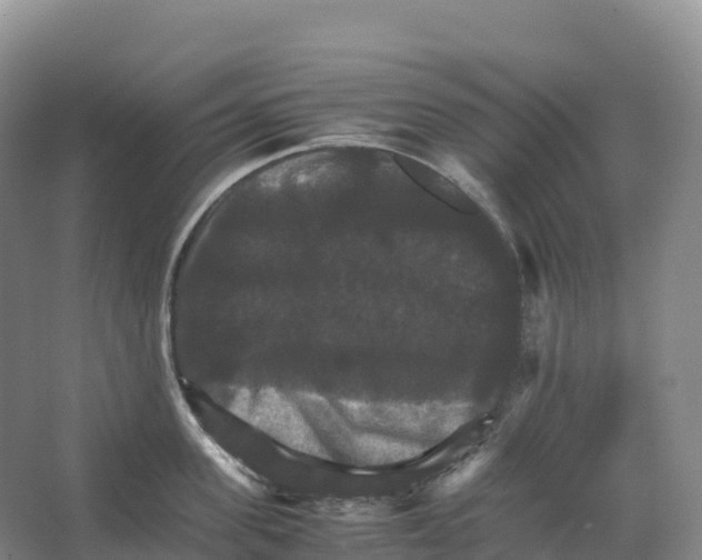 X0000066540955200604141902