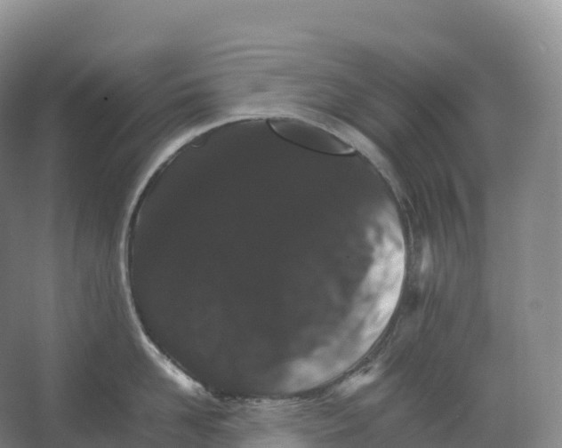 X0000066540958200604141902