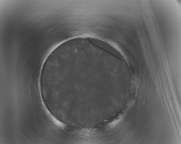 X0000066540959200604141902