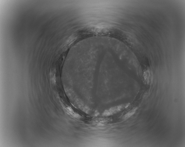 X0000066540963200604141901