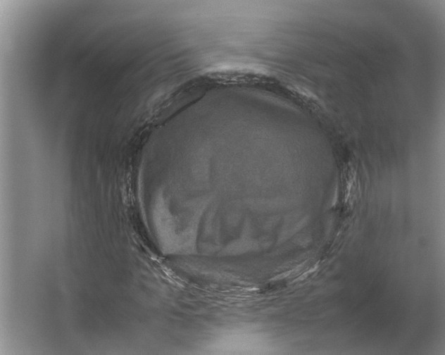 X0000066540965200604141901
