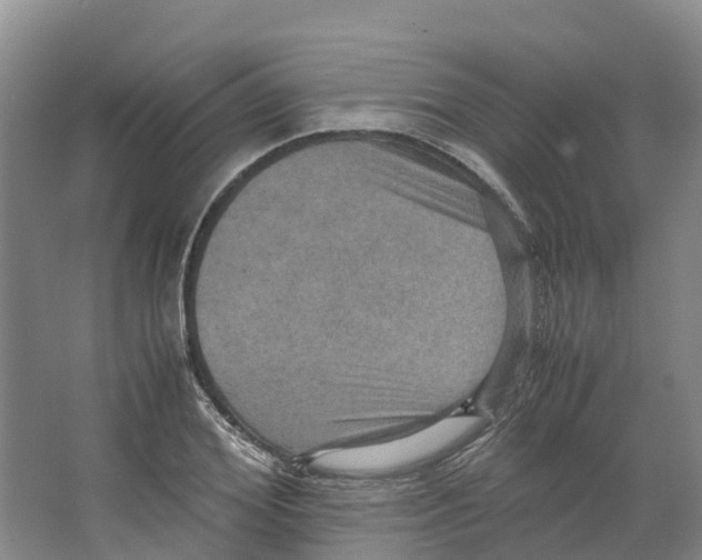 X0000066540980200604141901