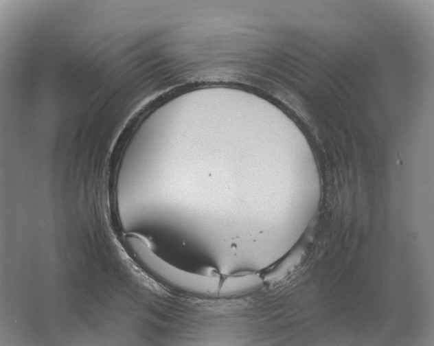 X0000066540984200604141901