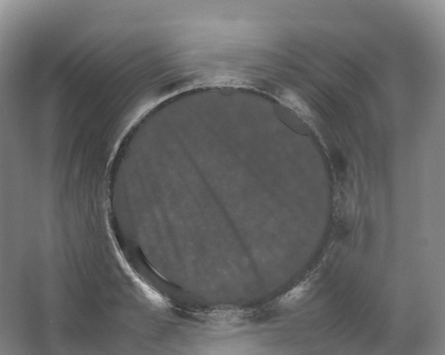 X0000066540989200604141901