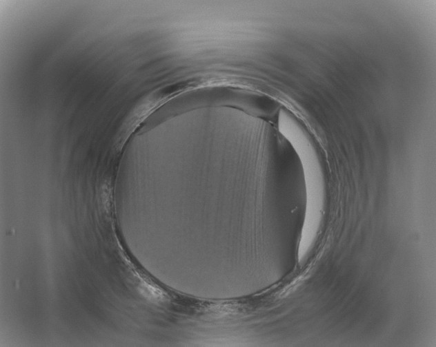 X0000066540993200604141901