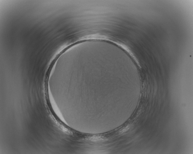 X0000066540998200604141901