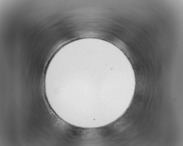 X0000066541000200604141901