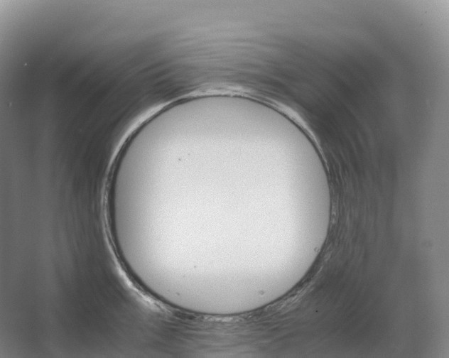 X0000066541003200604141900