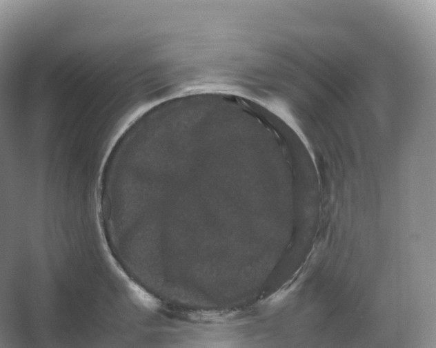 X0000066541005200604141900