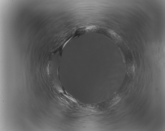 X0000066541010200604141900