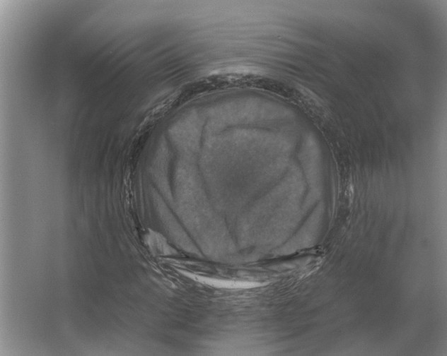 X0000066541014200604141900